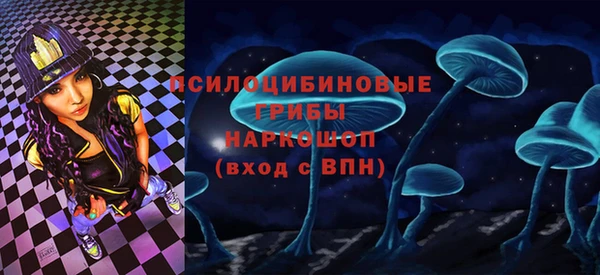 spice Алексеевка