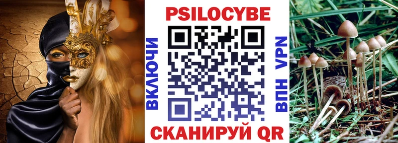 купить   Темрюк  мега ССЫЛКА  Галлюциногенные грибы Cubensis 