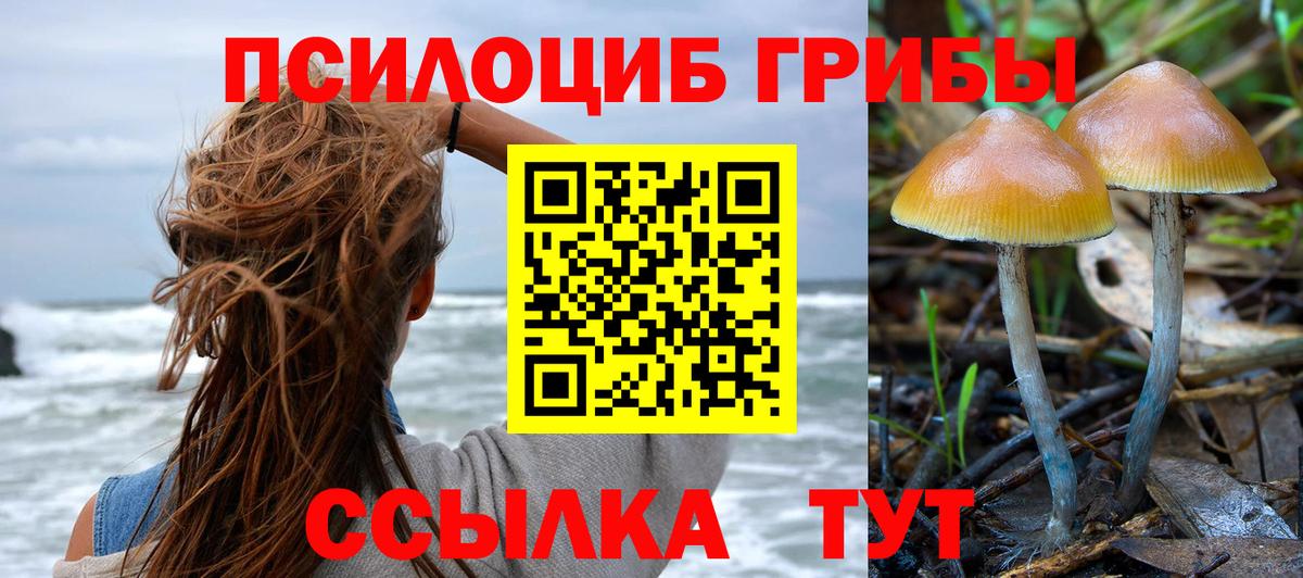 Галлюциногенные грибы мицелий  Вход с VPN  Темрюк 