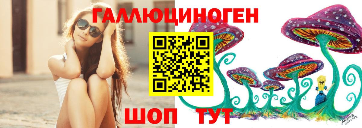 Псилоцибиновые грибы GOLDEN TEACHER Темрюк