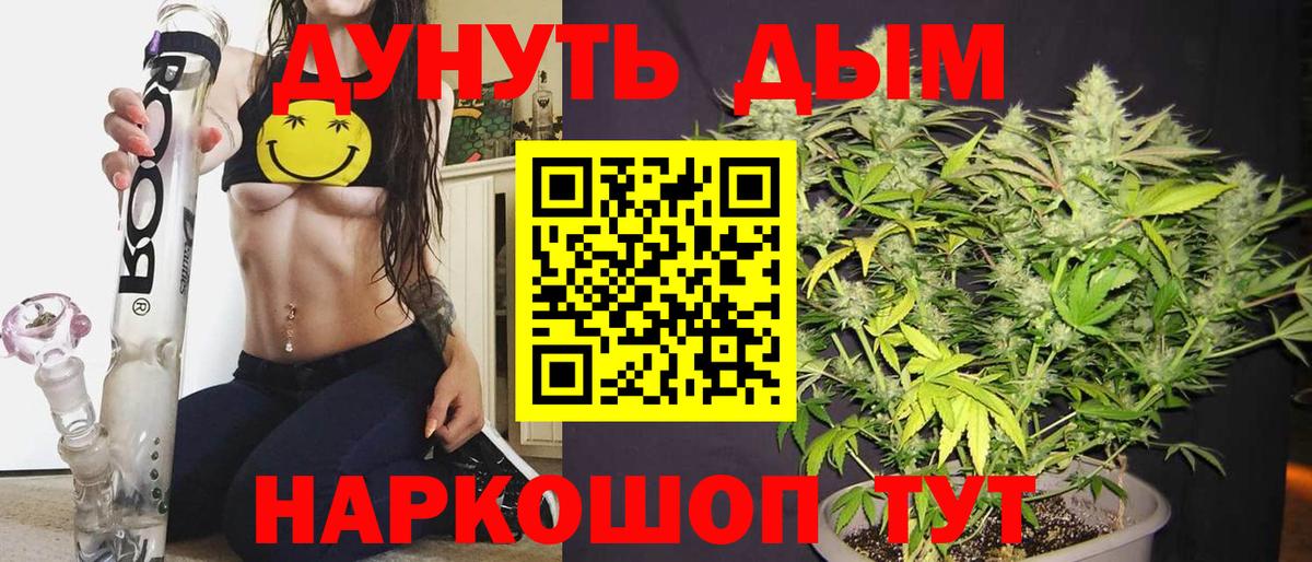 Конопля тримм  Вход с VPN  Бошки марихуана план  Каннабис планчик  Бошки Шишки семена  Темрюк 